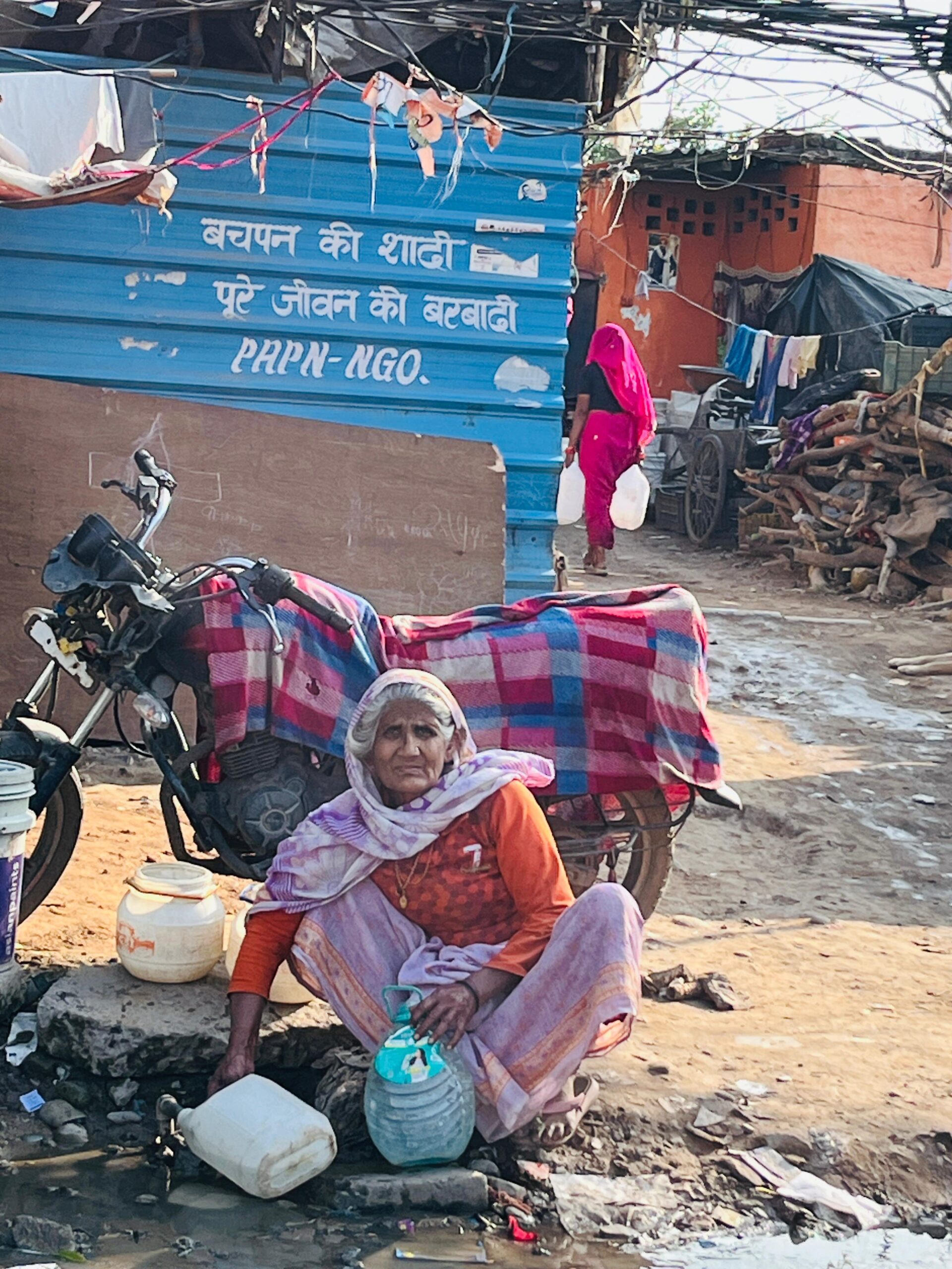 Stray Cows, Silent Struggles